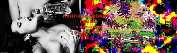 дурь Беломорск